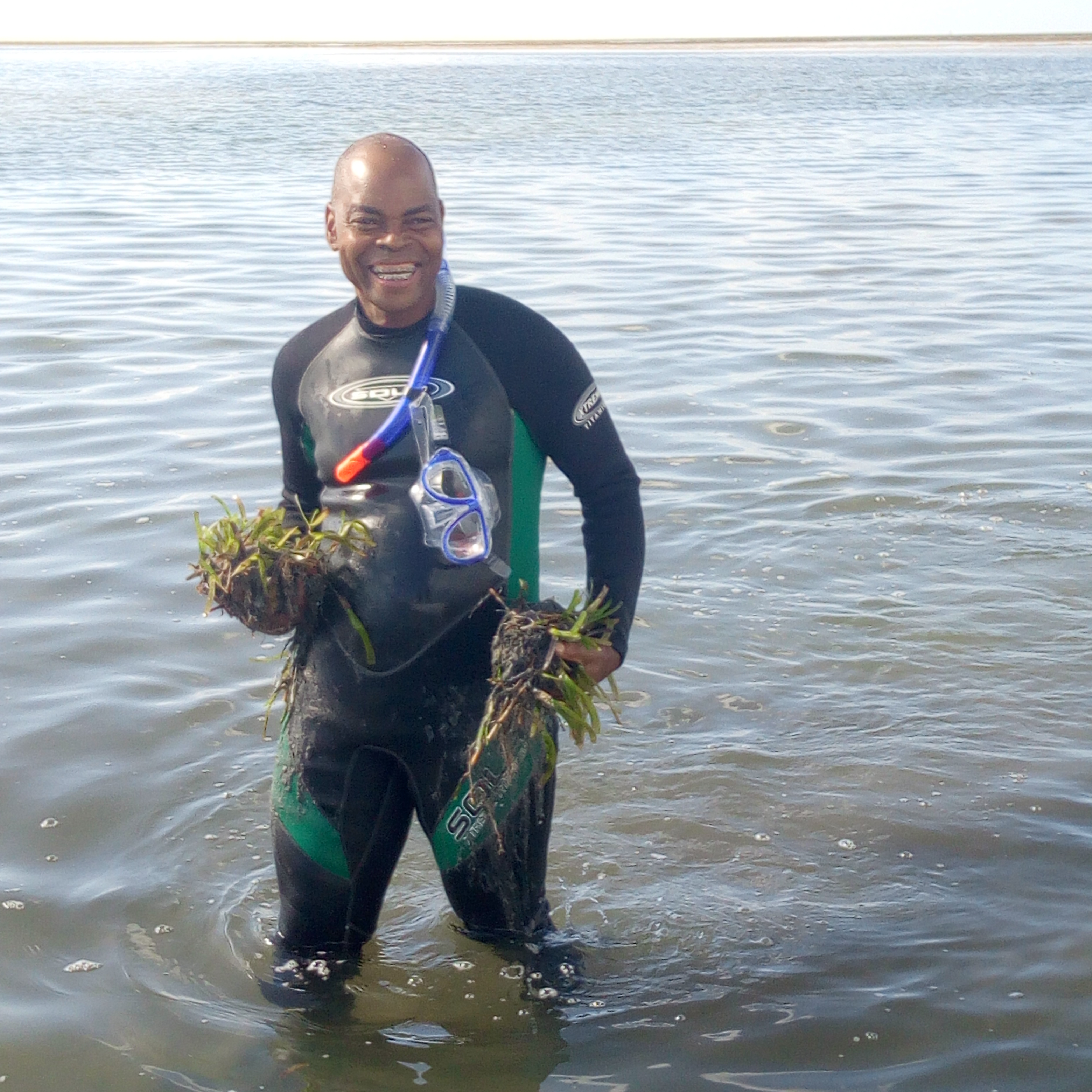 photo_SB_with sods of seagrass for restoration _Inhaca 2019